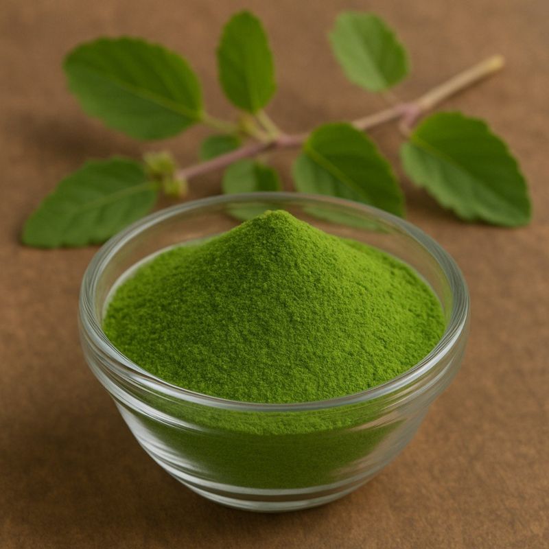 Freeze-Dried Tulsi Powder — Freeze-Dried Powder